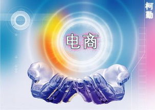 电子商务的专业是干啥的