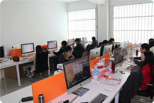 大学里读的电子商务专业