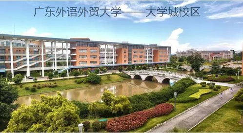 大连有电子商务专业的大学