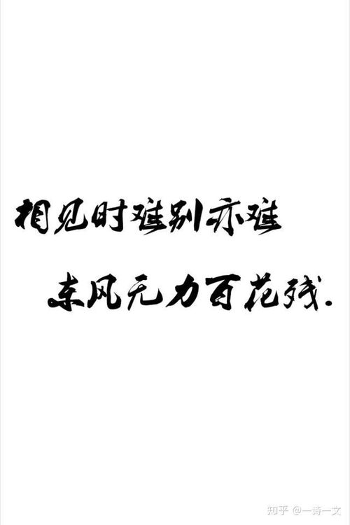 20年前的高考成绩可查，时光荏苒，回忆依旧