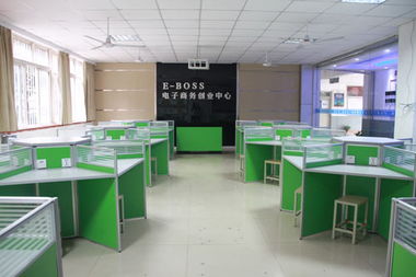 国际电子商务工程师专业
